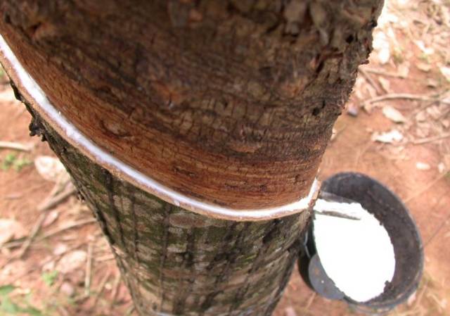 橡胶材料的种类及结构